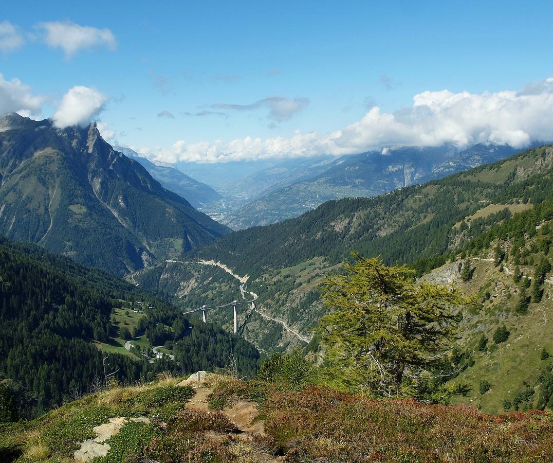 Gruppenhaus Im Walliser Alpstyle Rosswald Dış mekan fotoğraf