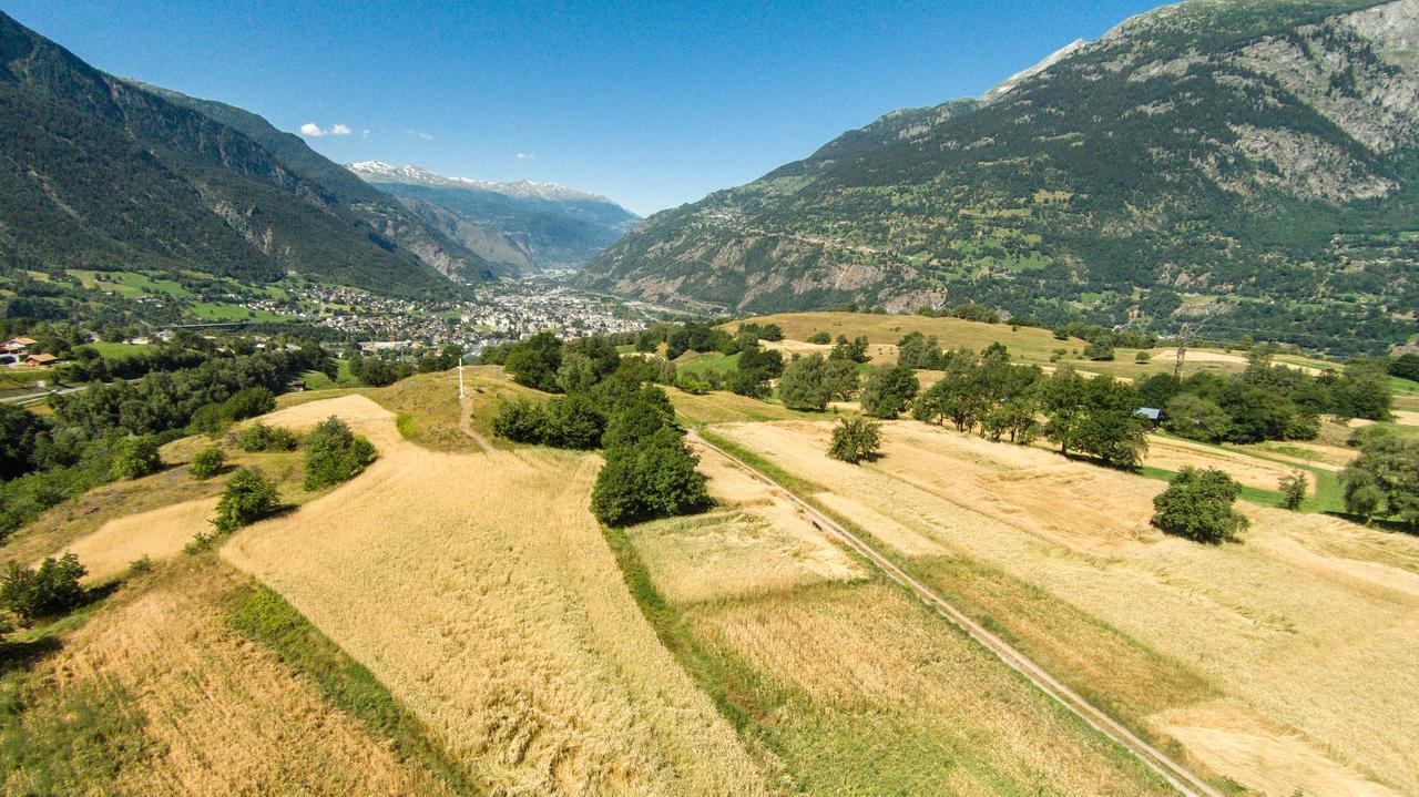 Gruppenhaus Im Walliser Alpstyle Rosswald Dış mekan fotoğraf