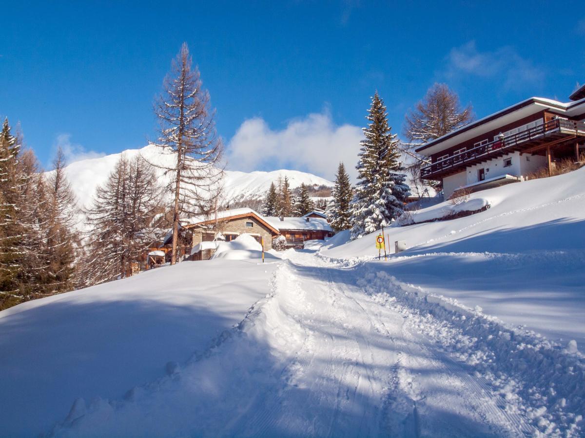 Gruppenhaus Im Walliser Alpstyle Rosswald Dış mekan fotoğraf