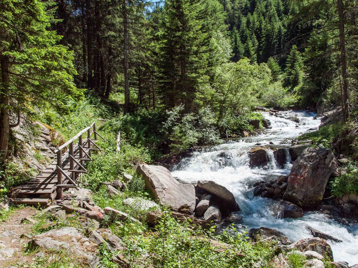 Gruppenhaus Im Walliser Alpstyle Rosswald Dış mekan fotoğraf